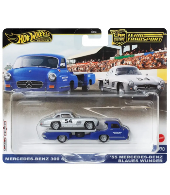 Team Transport Hot Wheels HRV48 Mercedes 300SL